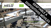 Meló Pasas de Uva de Exportación